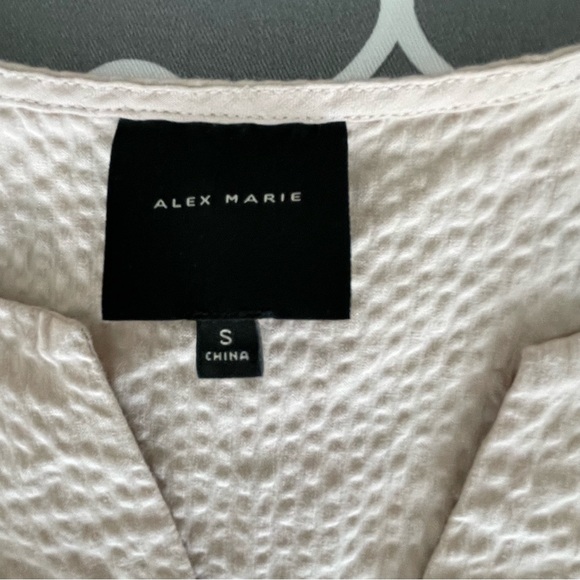 Alex Marie Taupe Shift Dress - Picture 3 of 4